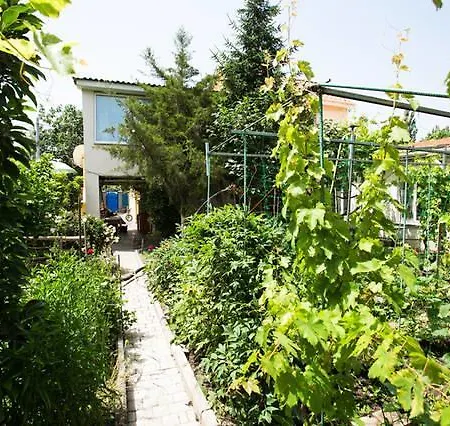 Lovely House For Nice Holidays